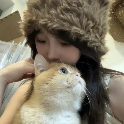 天堂岛疑云第十二季