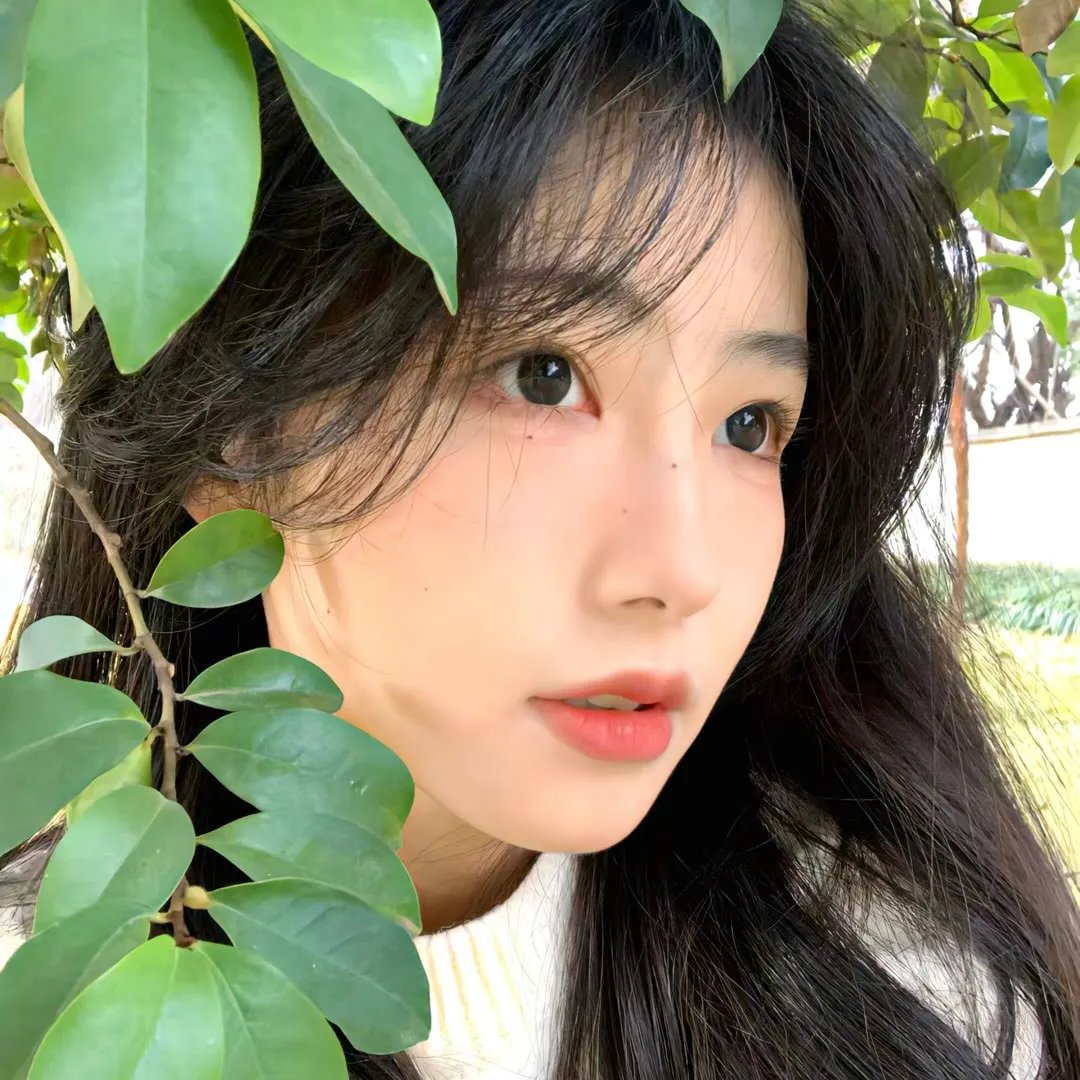 党同伐异